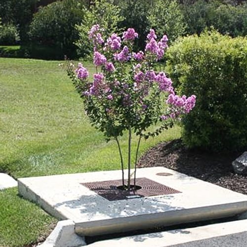 CAD Drawings Contech Engineered Solutions Filterra® Biofiltration/Bioretention